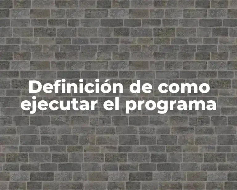 Definición de como ejecutar el programa