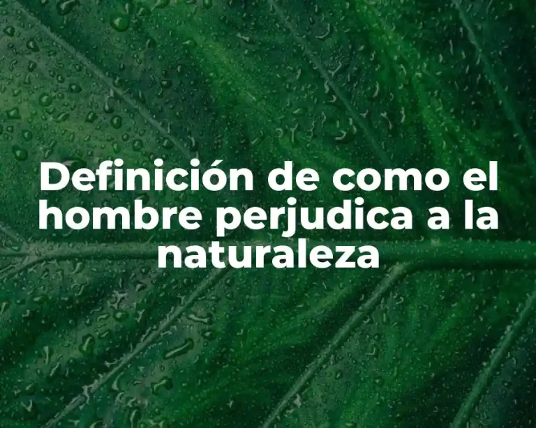Definición de como el hombre perjudica a la naturaleza
