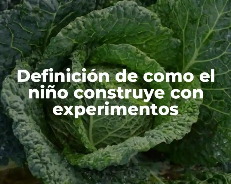 Definición de como el niño construye con experimentos