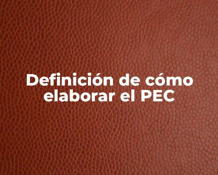 Definición de cómo elaborar el PEC