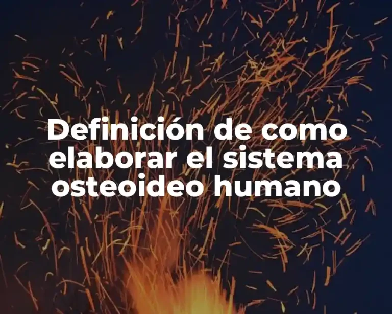Definición de como elaborar el sistema osteoideo humano