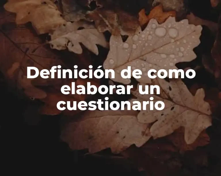 Definición de como elaborar un cuestionario