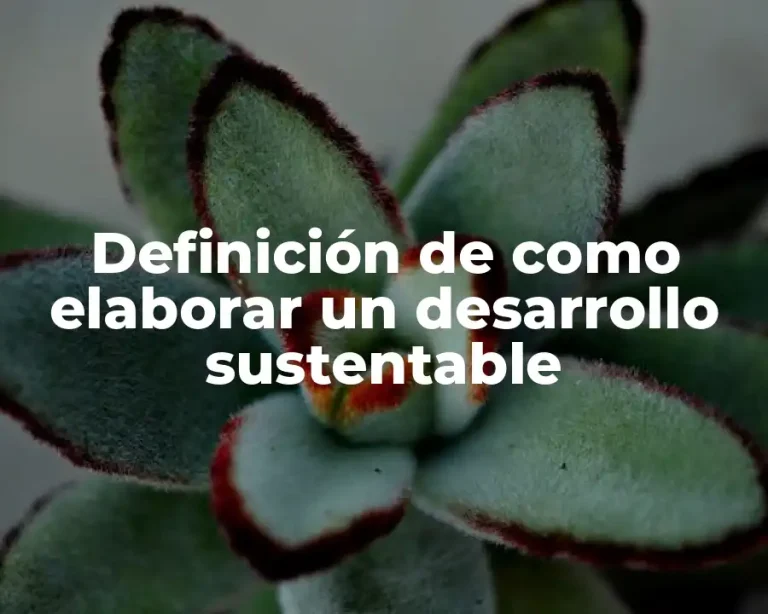 Definición de como elaborar un desarrollo sustentable