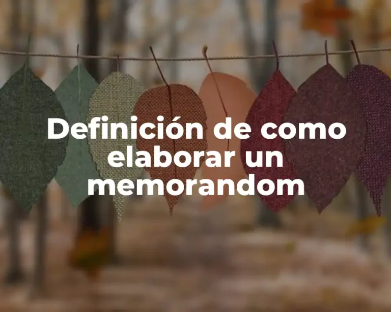 Definición de como elaborar un memorandom