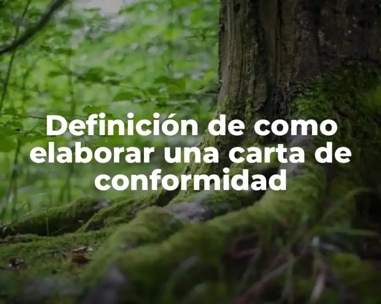 Definición de como elaborar una carta de conformidad