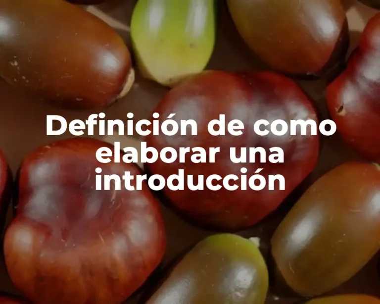 Definición de como elaborar una introducción