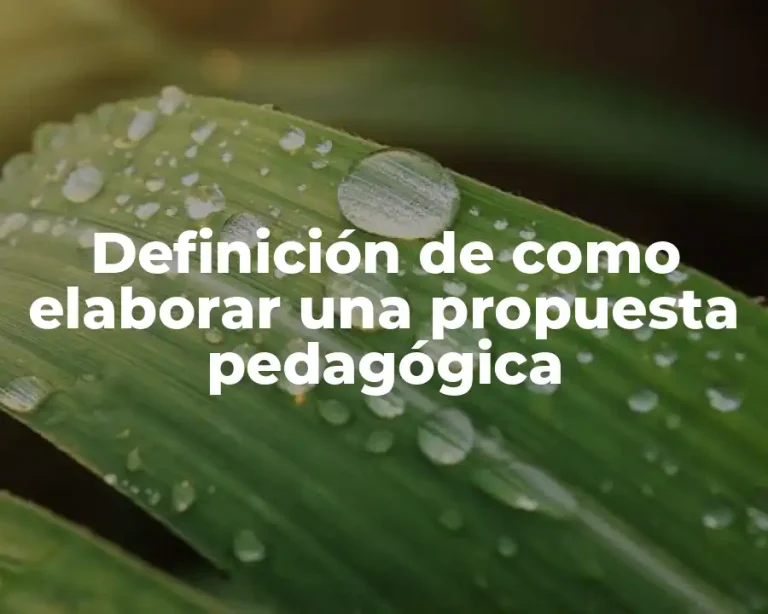 Definición de como elaborar una propuesta pedagógica