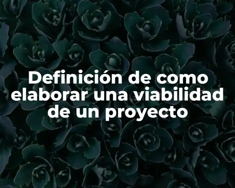 Definición de como elaborar una viabilidad de un proyecto