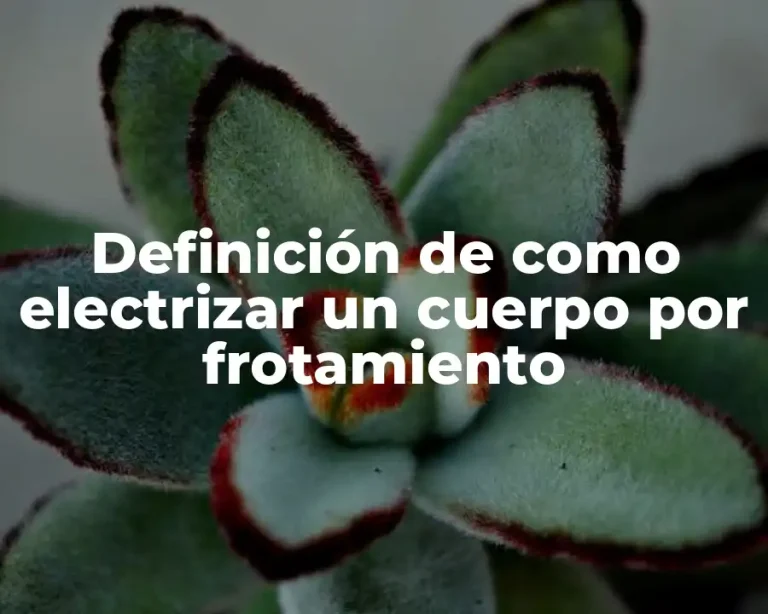 Definición de como electrizar un cuerpo por frotamiento
