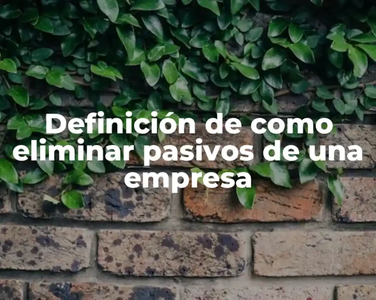 Definición de como eliminar pasivos de una empresa