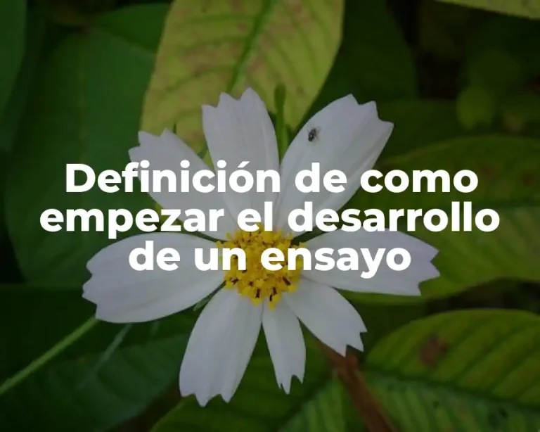 Definición de como empezar el desarrollo de un ensayo