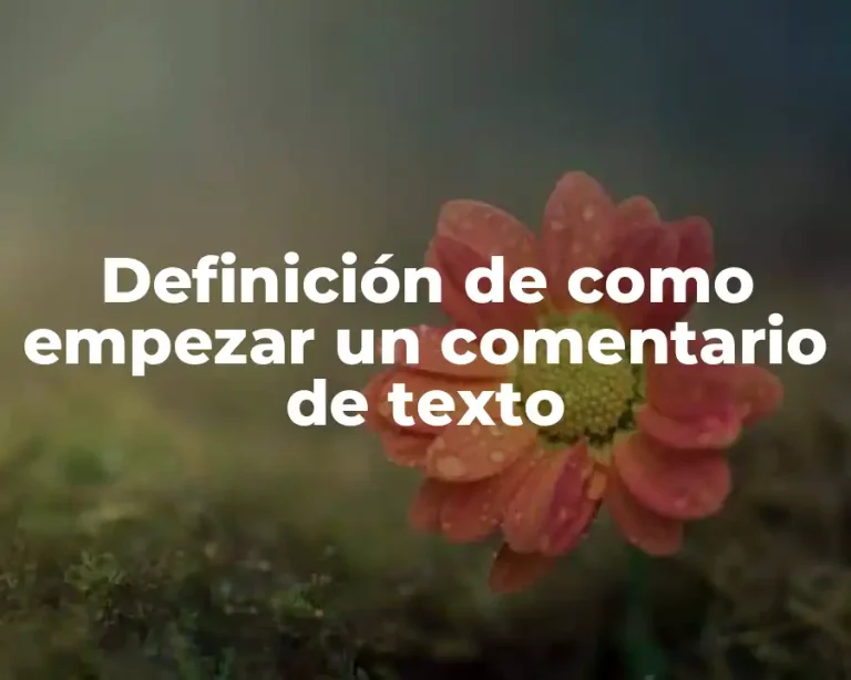 Definición de como empezar un comentario de texto