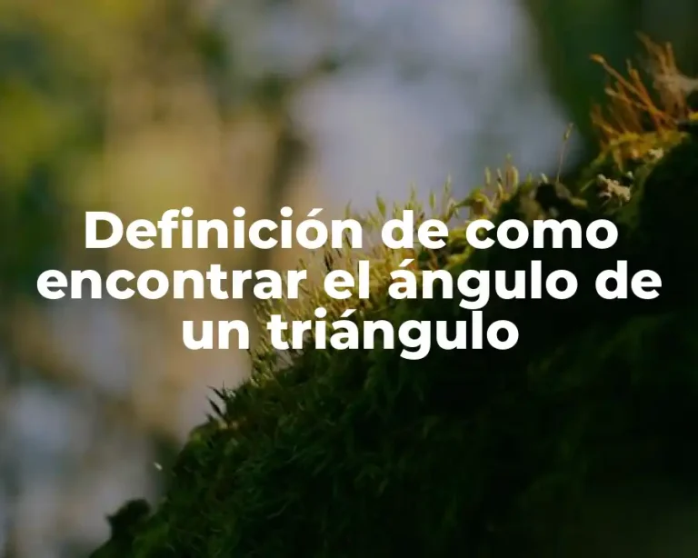 Definición de como encontrar el ángulo de un triángulo