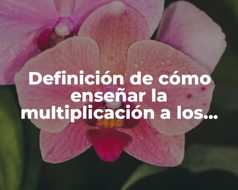Definición de cómo enseñar la multiplicación a los niños