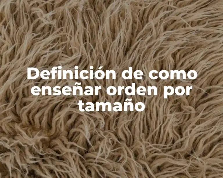 Definición de como enseñar orden por tamaño
