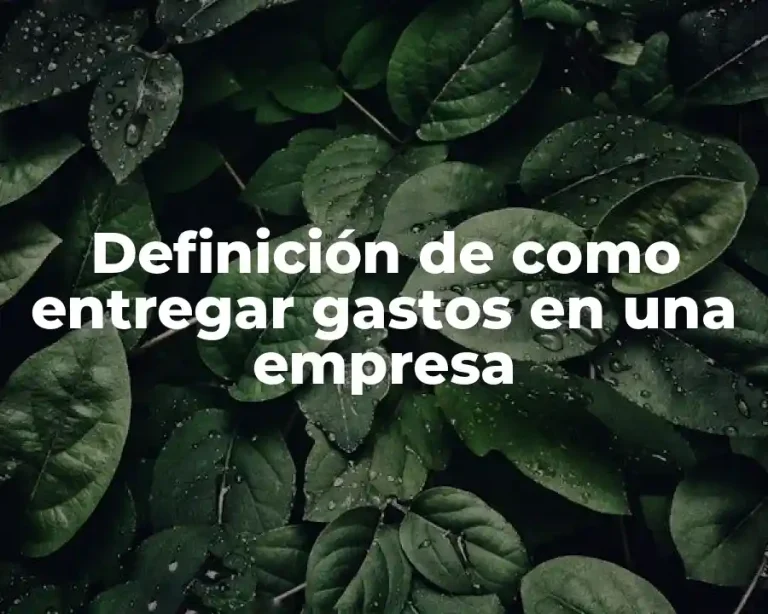 Definición de como entregar gastos en una empresa