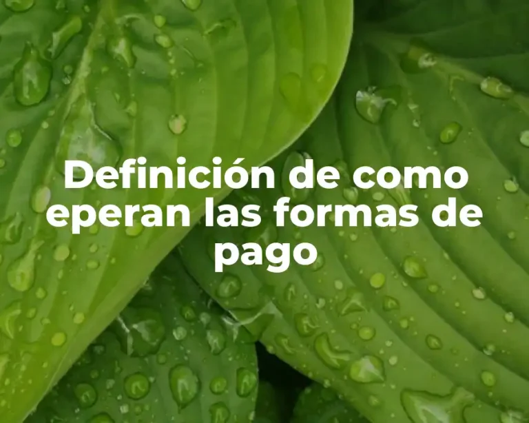 Definición de como eperan las formas de pago