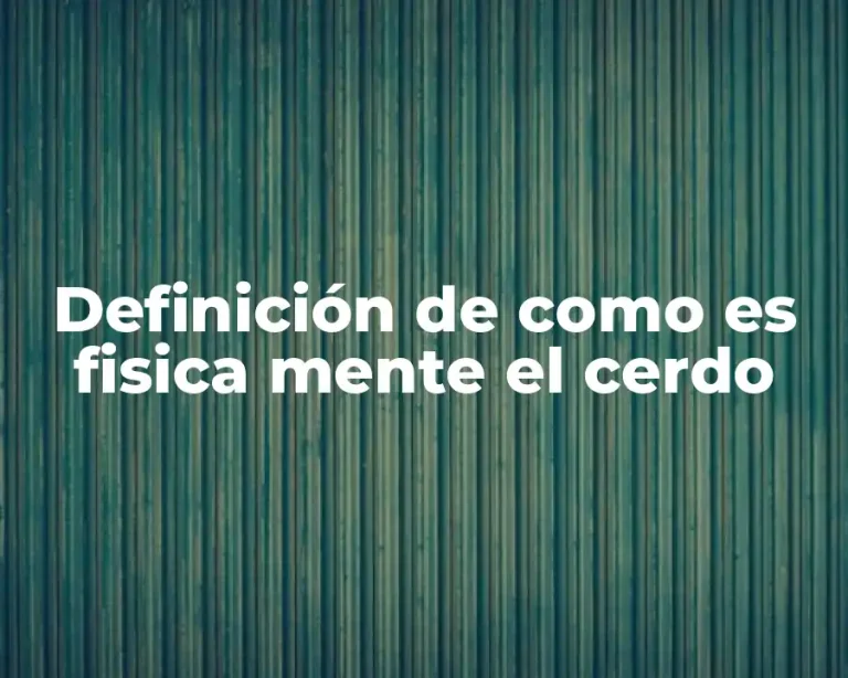 Definición de como es fisica mente el cerdo