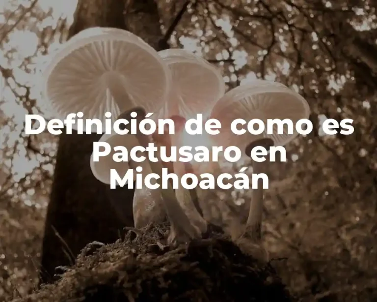 Definición de como es Pactusaro en Michoacán
