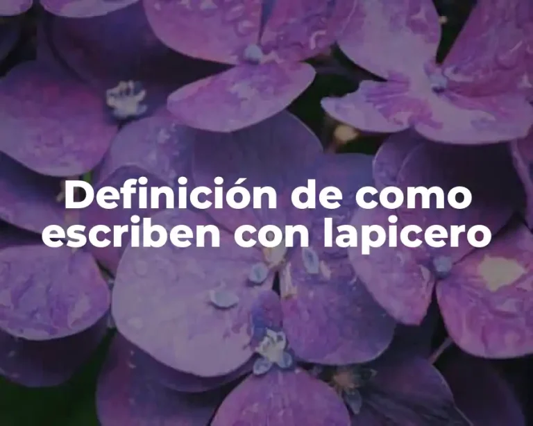 Definición de como escriben con lapicero