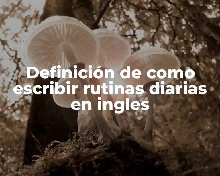 Definición de como escribir rutinas diarias en ingles