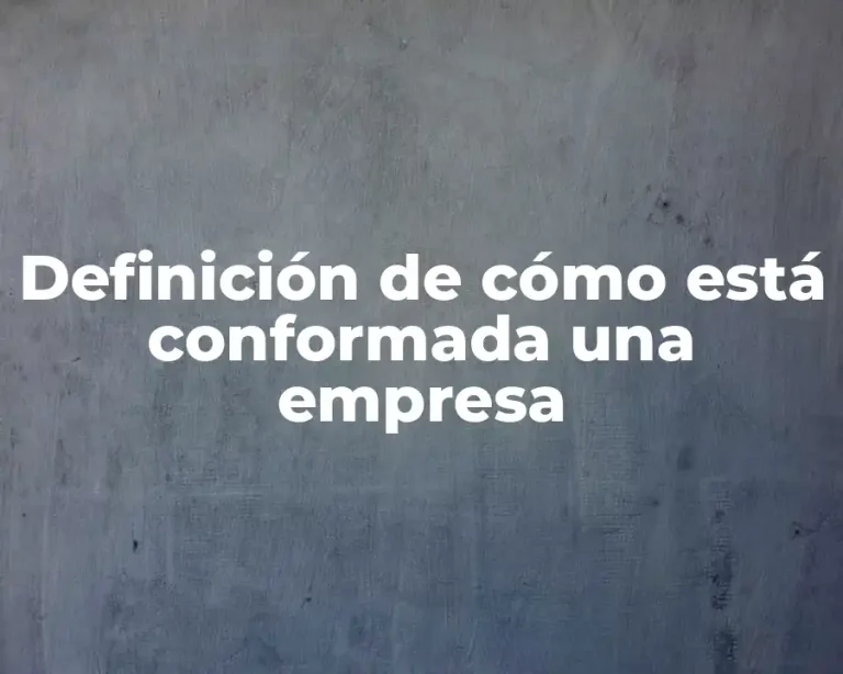 Definición de cómo está conformada una empresa