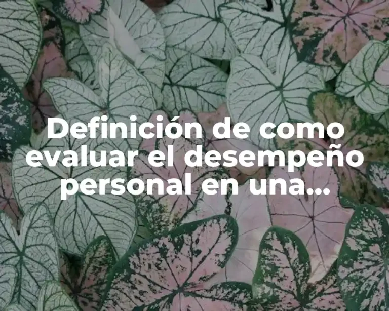 Definición de como evaluar el desempeño personal en una empresa
