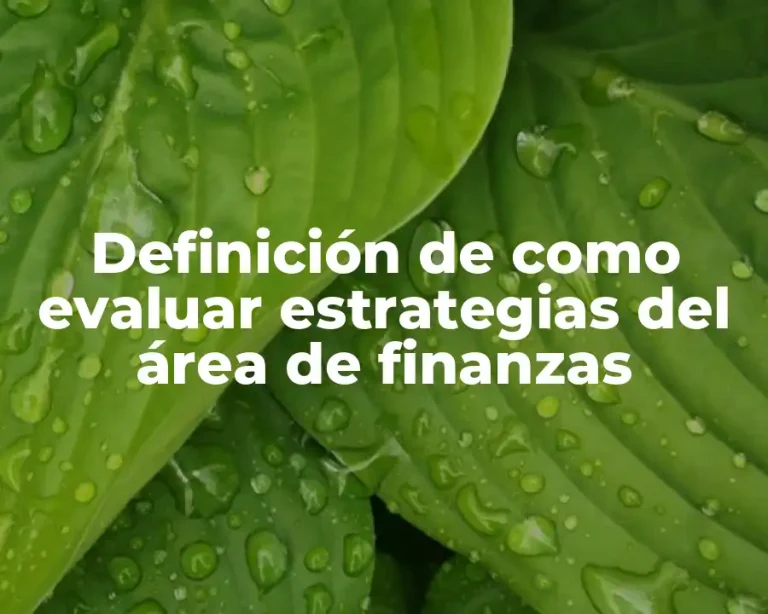 Definición de como evaluar estrategias del área de finanzas