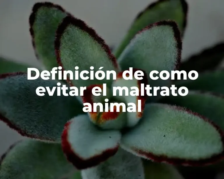 Definición de como evitar el maltrato animal