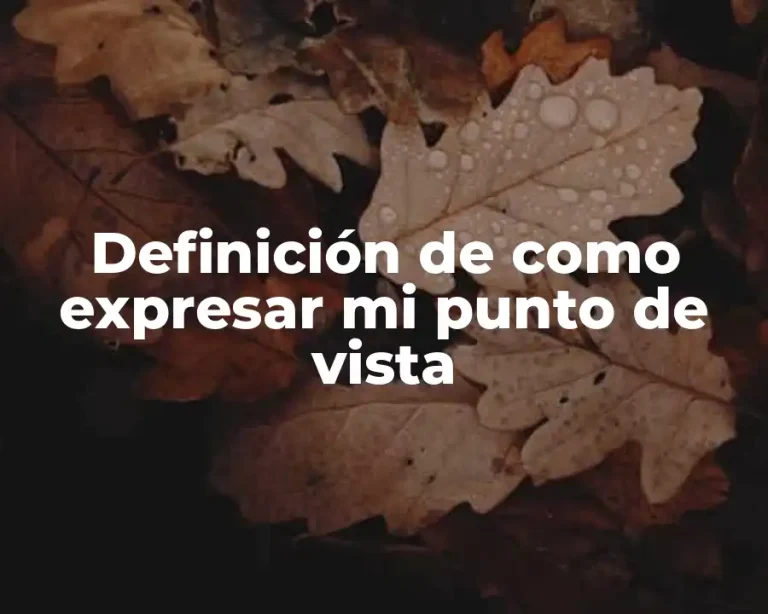 Definición de como expresar mi punto de vista