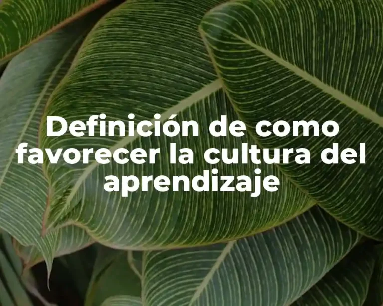 Definición de como favorecer la cultura del aprendizaje