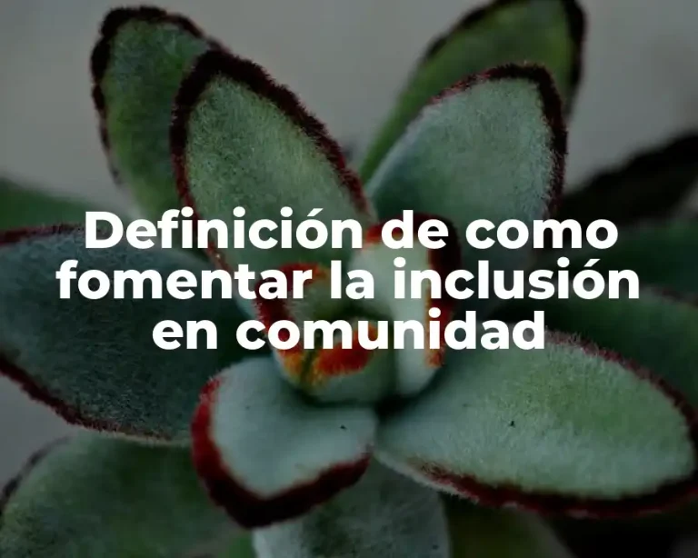 Definición de como fomentar la inclusión en comunidad