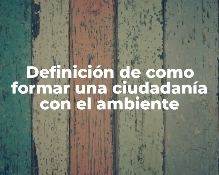Definición de como formar una ciudadanía con el ambiente
