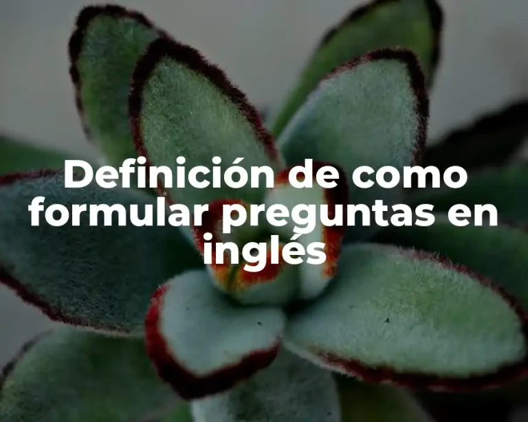 Definición de como formular preguntas en inglés