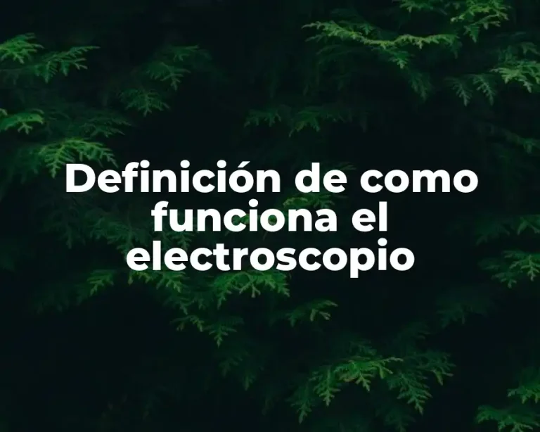 Definición de como funciona el electroscopio