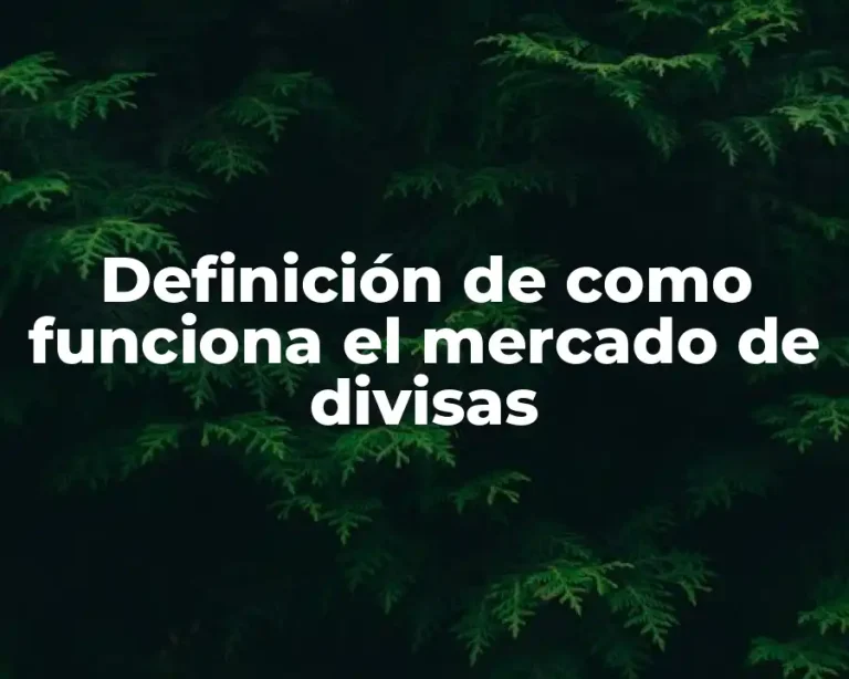 Definición de como funciona el mercado de divisas