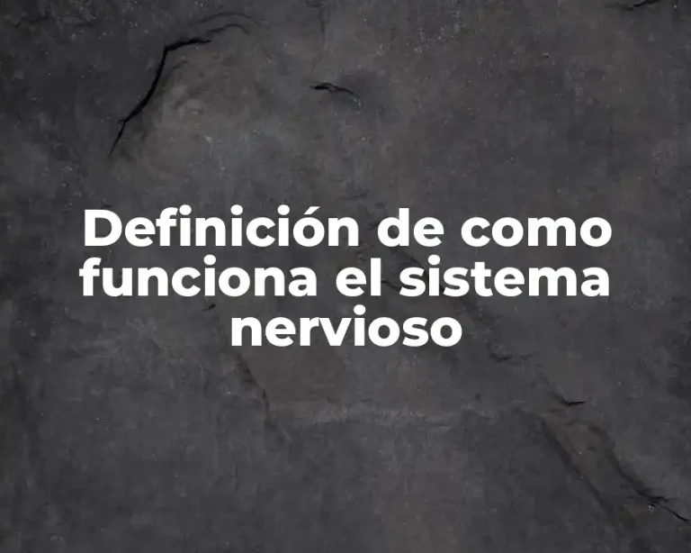 Definición de como funciona el sistema nervioso