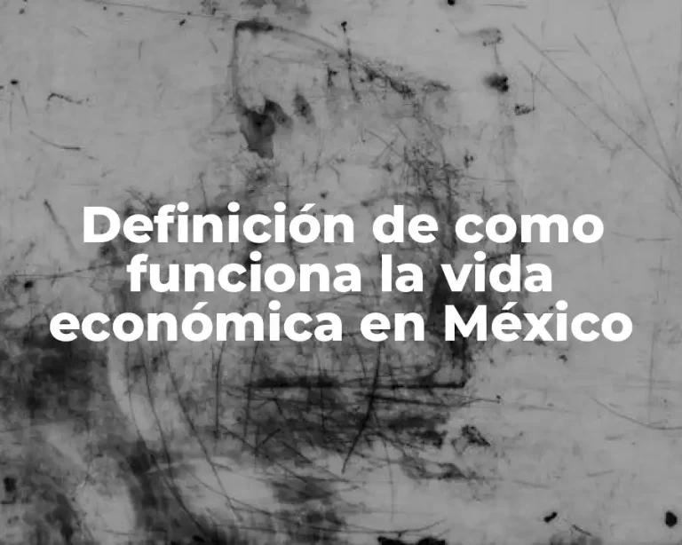 Definición de como funciona la vida económica en México