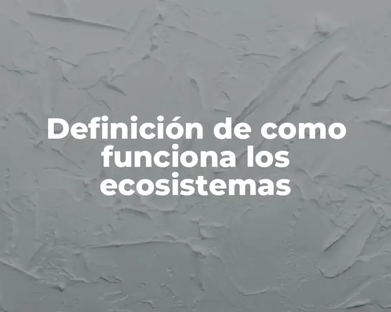 Definición de como funciona los ecosistemas