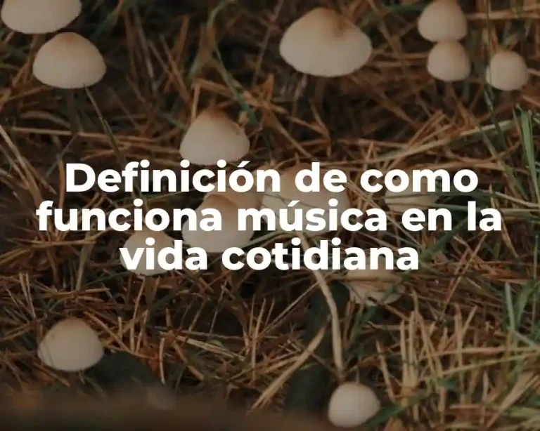 Definición de como funciona música en la vida cotidiana