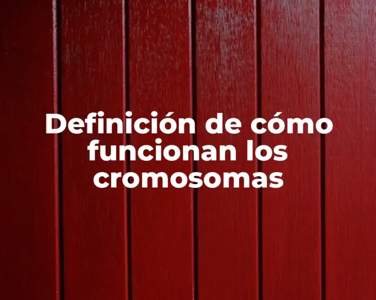 Definición de cómo funcionan los cromosomas