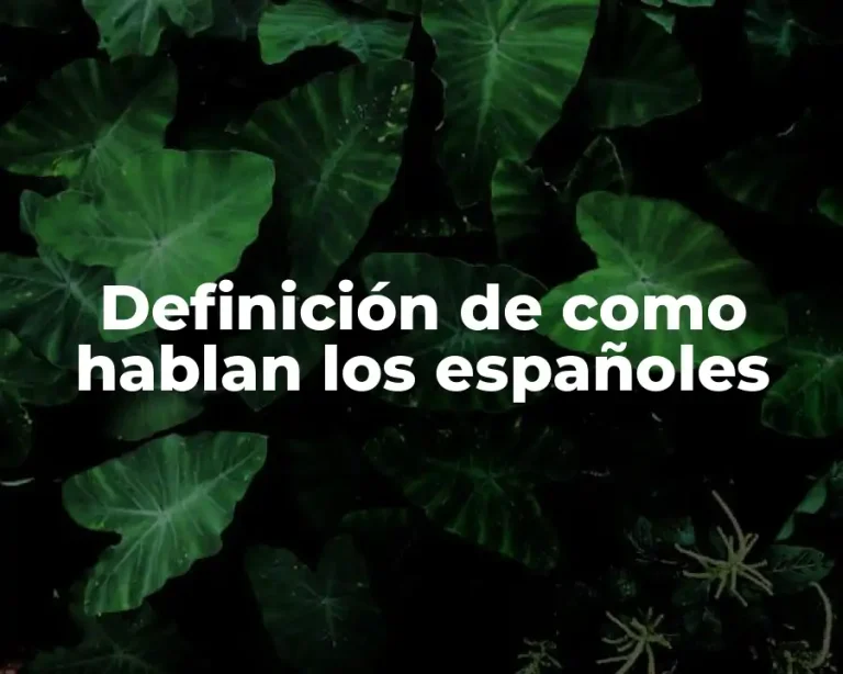 Definición de como hablan los españoles