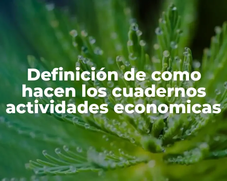 Definición de como hacen los cuadernos actividades economicas