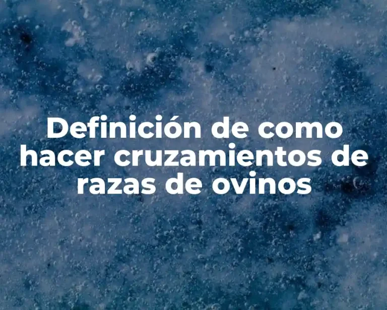 Definición de como hacer cruzamientos de razas de ovinos