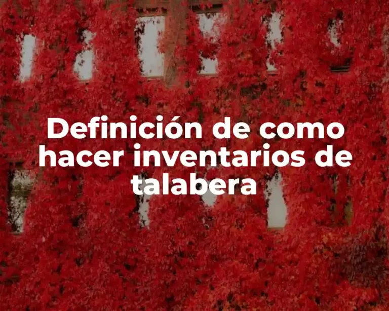 Definición de como hacer inventarios de talabera