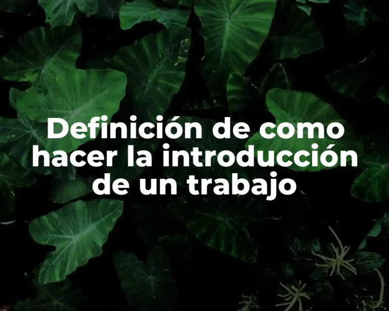 Definición de como hacer la introducción de un trabajo