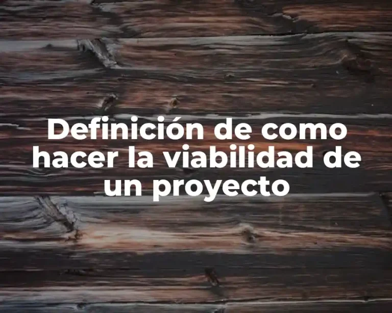 Definición de como hacer la viabilidad de un proyecto