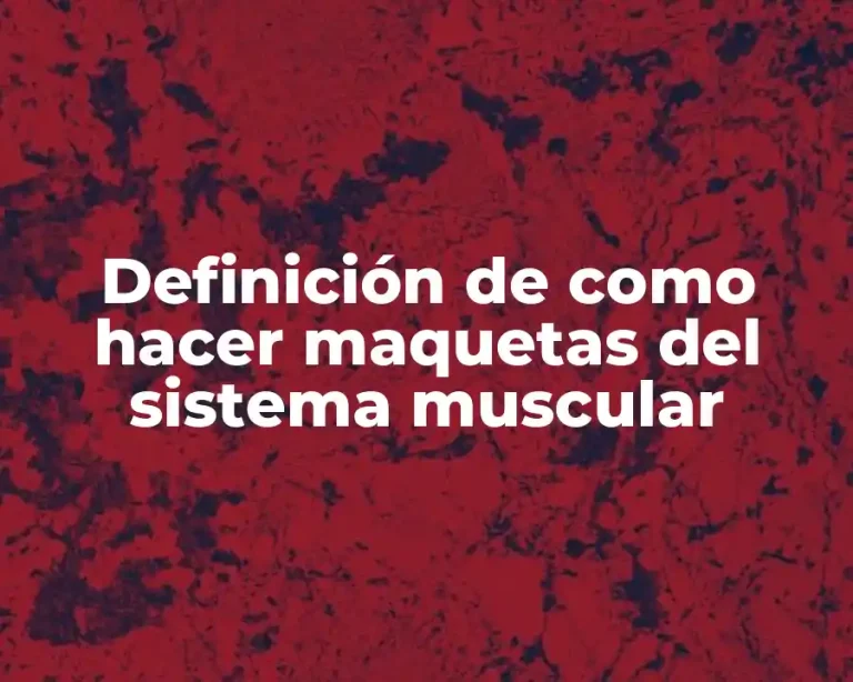 Definición de como hacer maquetas del sistema muscular