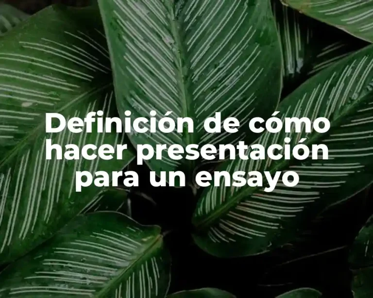Definición de cómo hacer presentación para un ensayo