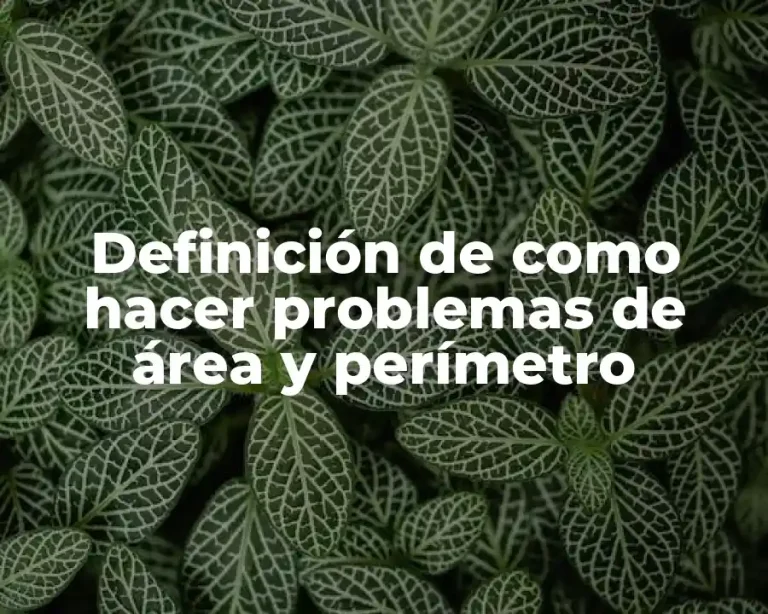Definición de como hacer problemas de área y perímetro